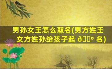 男孙女王怎么取名(男方姓王女方姓孙给孩子起 🌺 名)